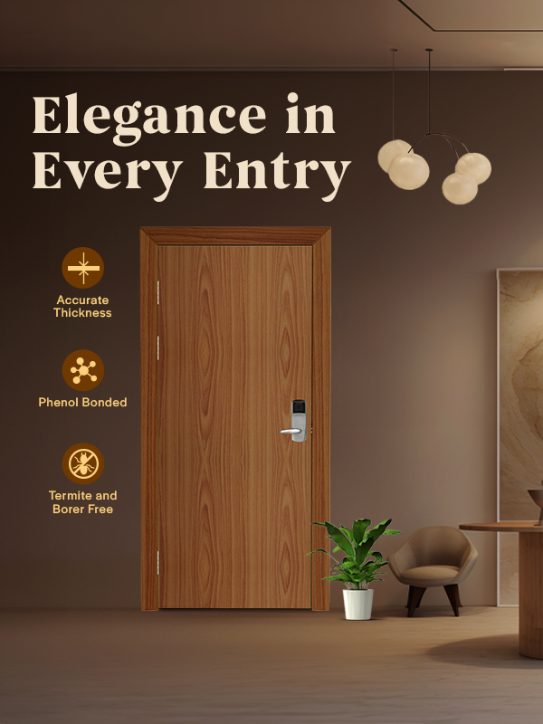 Doors for Elegant and intricate Interiors